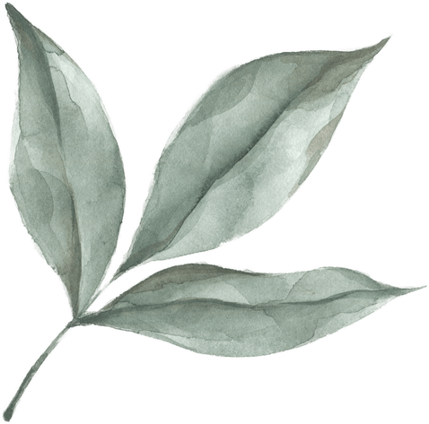 Modern oasis leaf